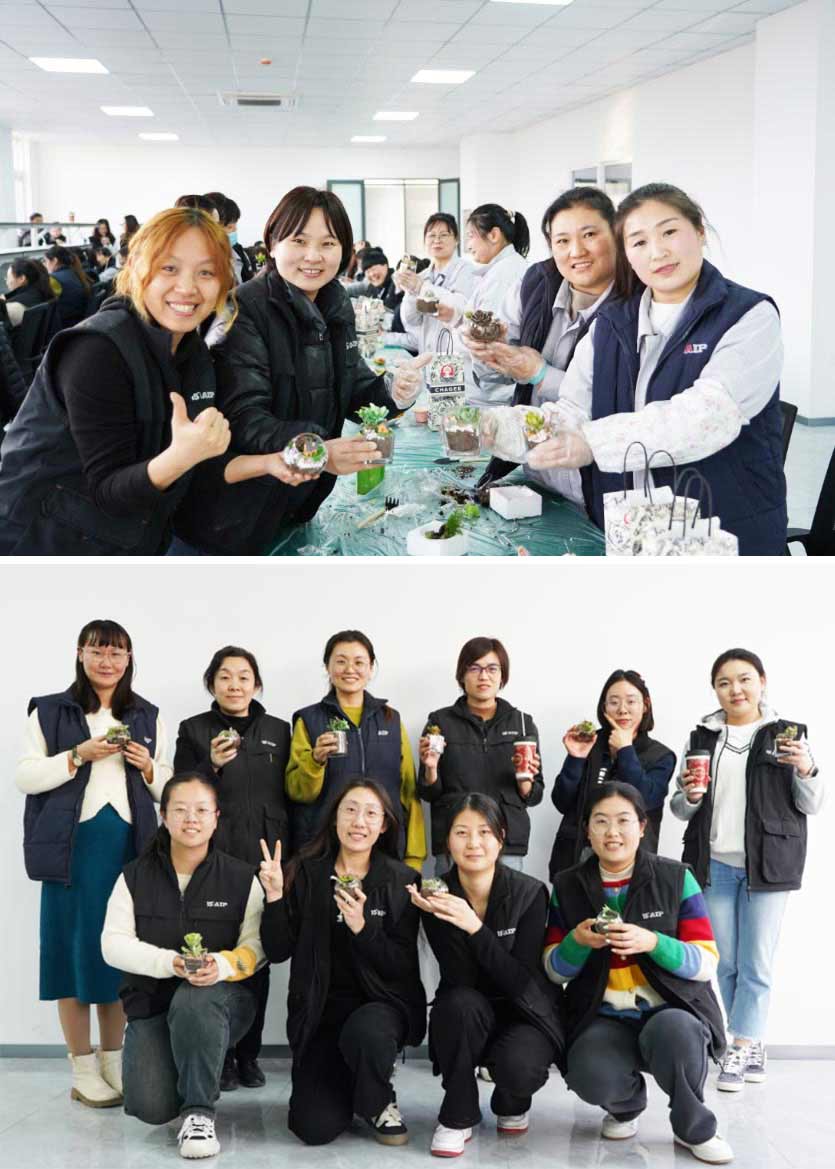 3.8 婦女節丨微景觀DIY，一起邂逅微世界里的春日—AIP艾普
