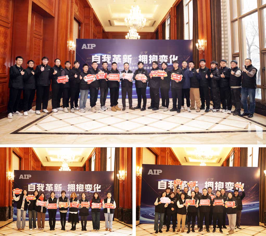 自我革新·擁抱變化丨艾普2024年度表彰暨年會(huì)盛典圓滿結(jié)束